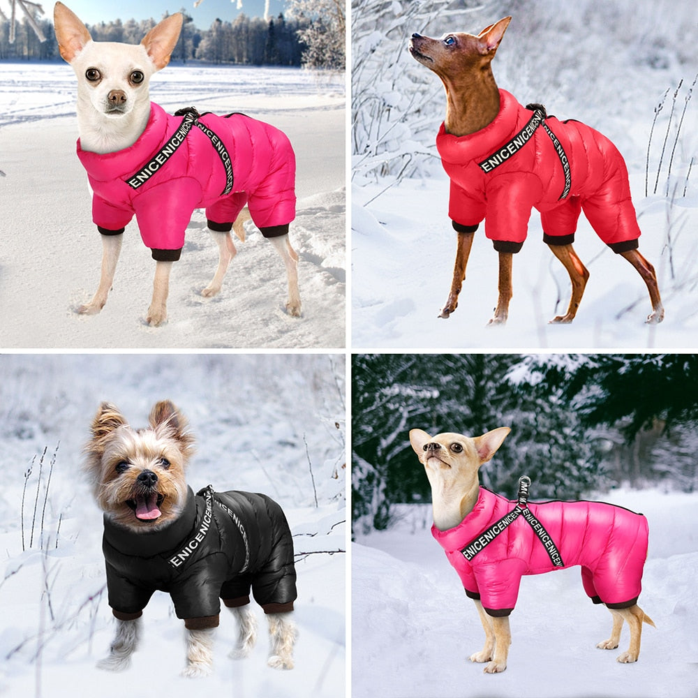 Winter Super Warm Jacket - My Pets Today