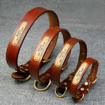 Personalized Pet ID Collar Genuine Leather - My Pets Today
