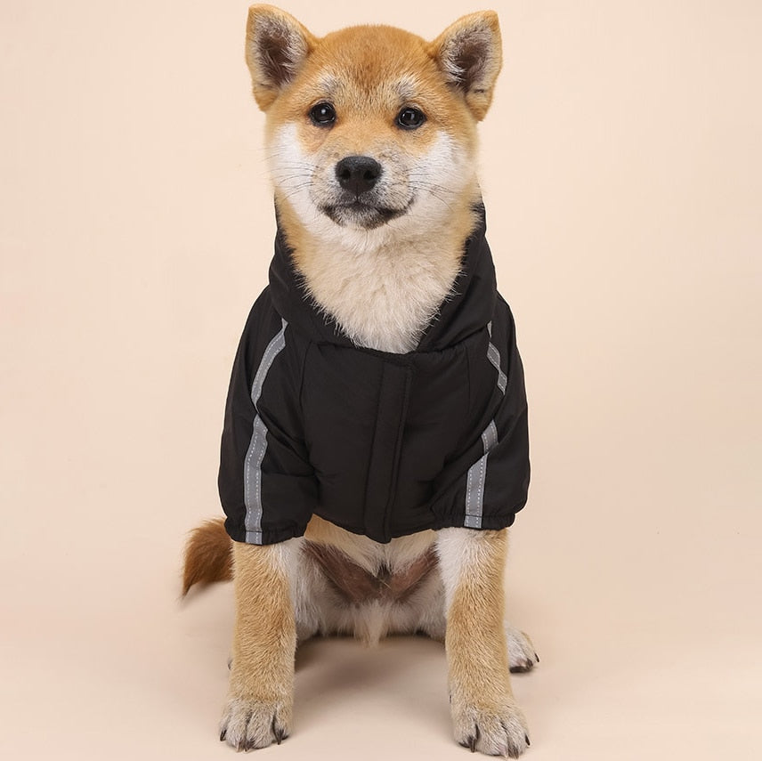 New The Face Dog Hoodie Reflective - My Pets Today