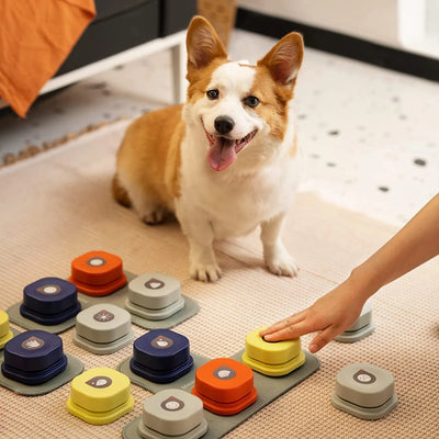 Training Vocal Interactive Toy Bell Ringer With Pad And Sticker Easy To Use - My Pets Today