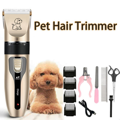 Recharge Profession Hair Cutter - My Pets Today
