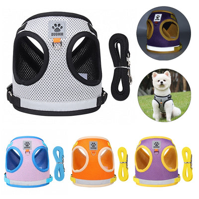 Safety Pet Harness and Leash Set - My Pets Today