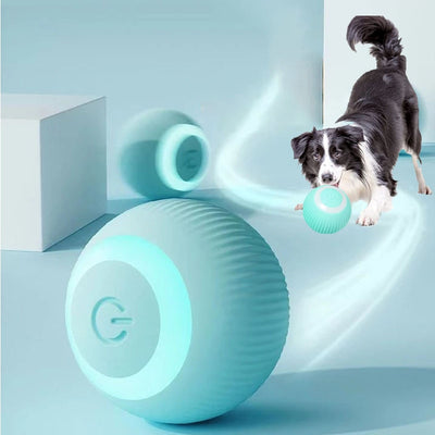 Auto Rolling Ball Self-Moving - My Pets Today
