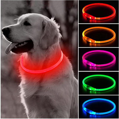 Led Light Dog Collar - USB Charging - My Pets Today
