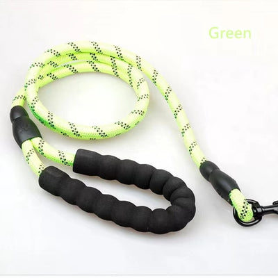 Vehicle Safety Belt Adjustable & Leash - My Pets Today
