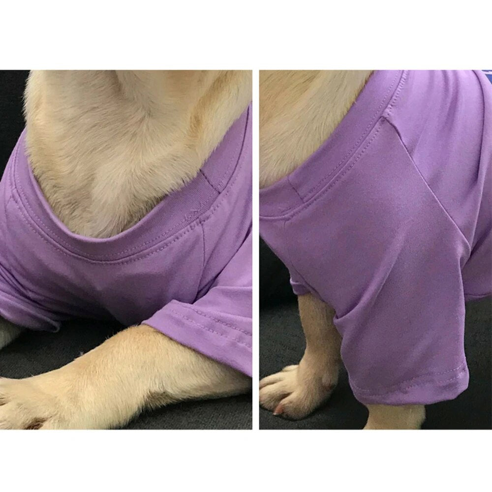 Cotton Printed T-Shirt Dog And Owner Matching Outfit