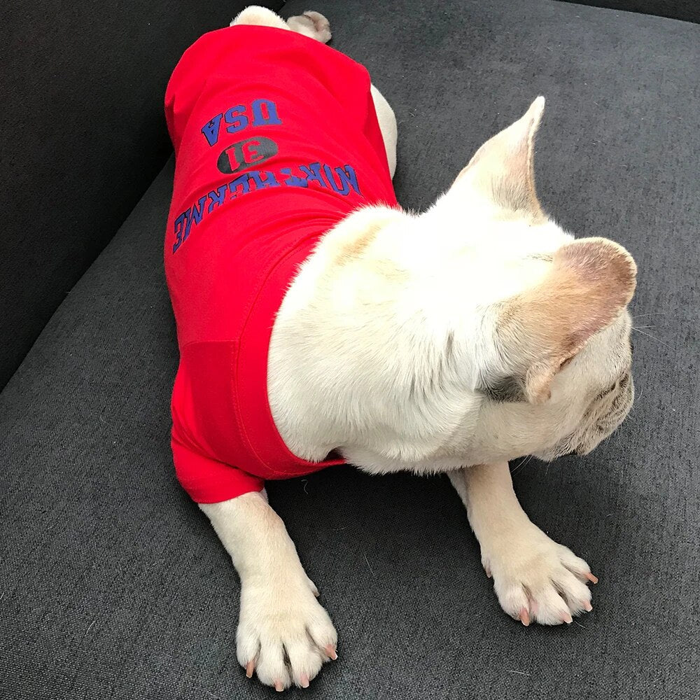 Cotton Printed T-Shirt Dog And Owner Matching Outfit