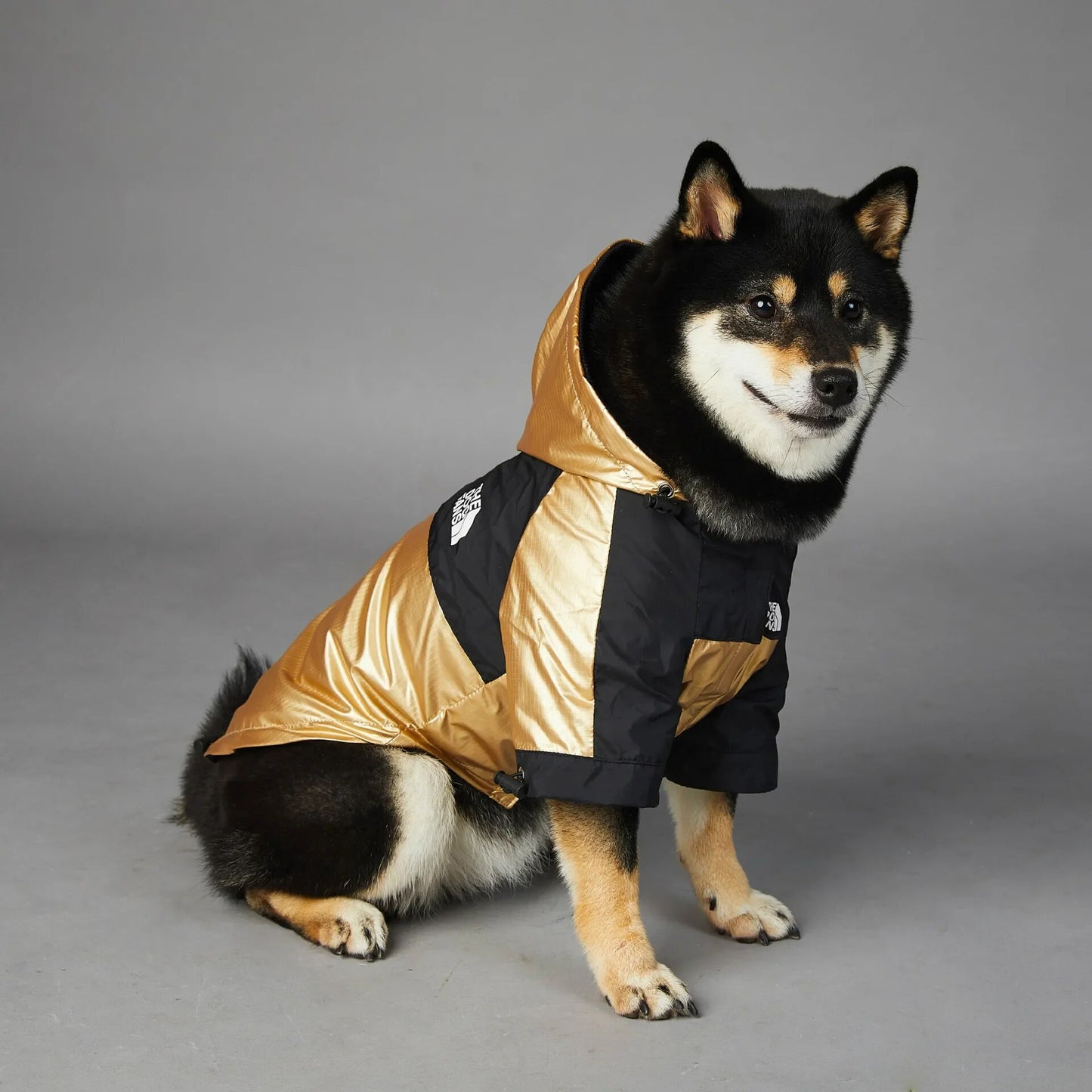 Gold Waterproof Face Dog Jacket