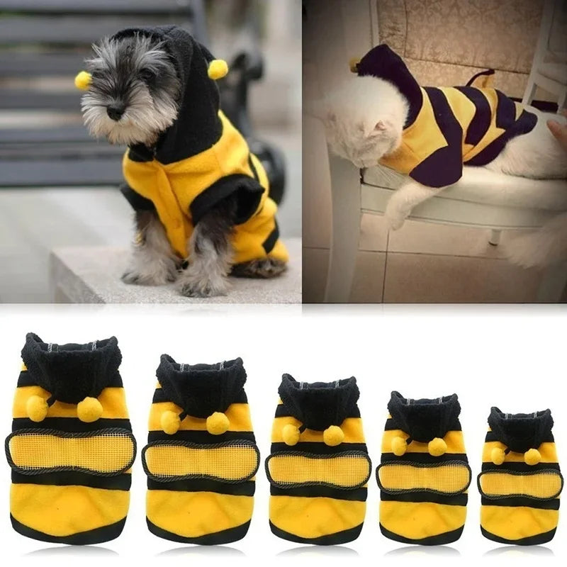 Bee Pet Coat Apparel Outfit