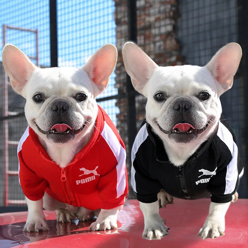 Baseballjacke für Hunde aus Baumwolle