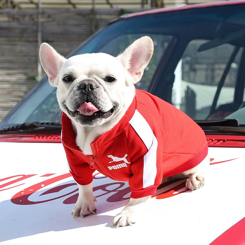 Baseballjacke für Hunde aus Baumwolle