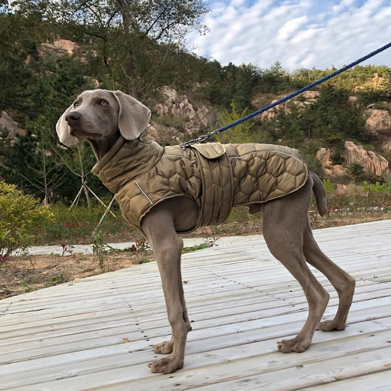 Reflective Snowsuit