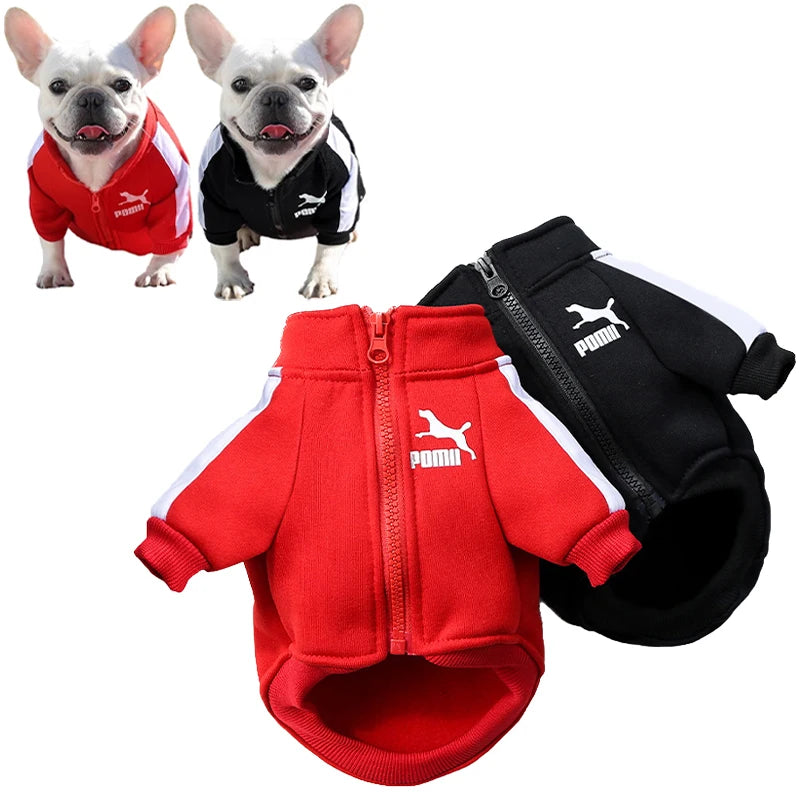 Baseballjacke für Hunde aus Baumwolle