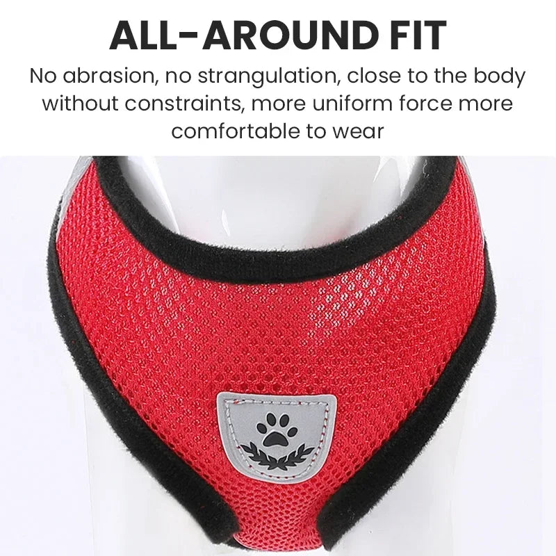 Chest Harness