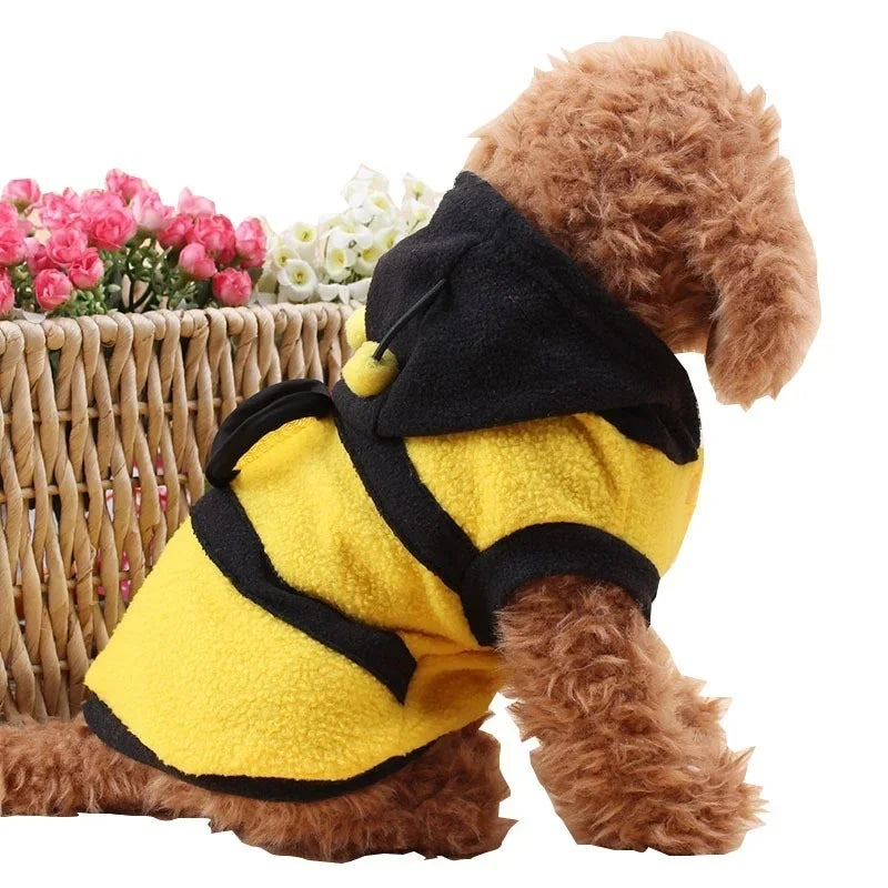 Bee Pet Coat Apparel Outfit