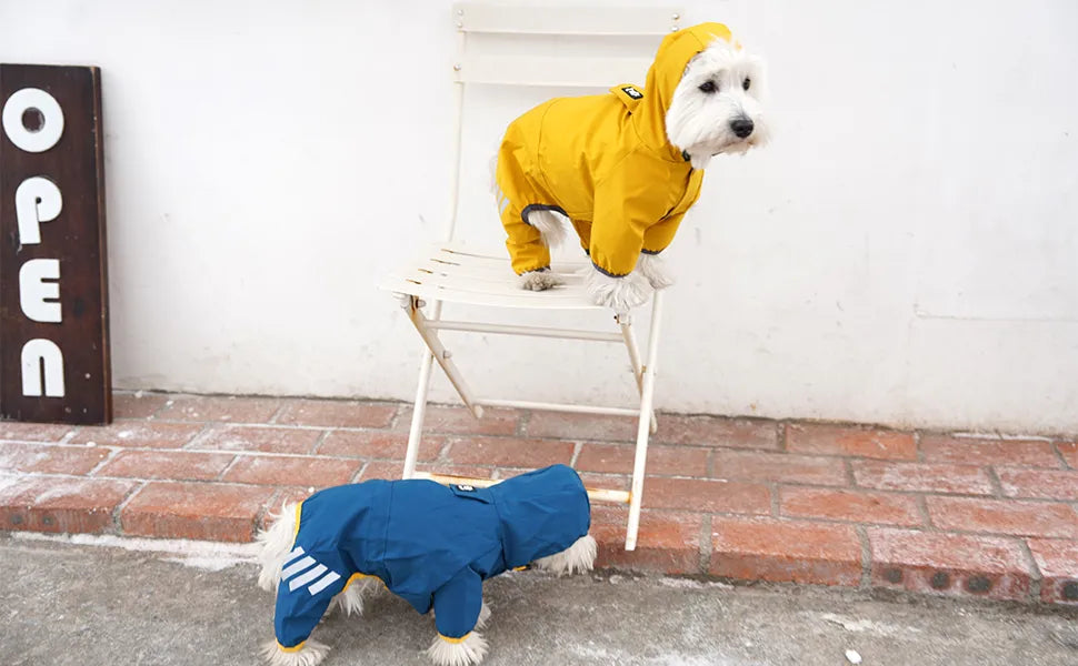 Raincoat with Hoodie