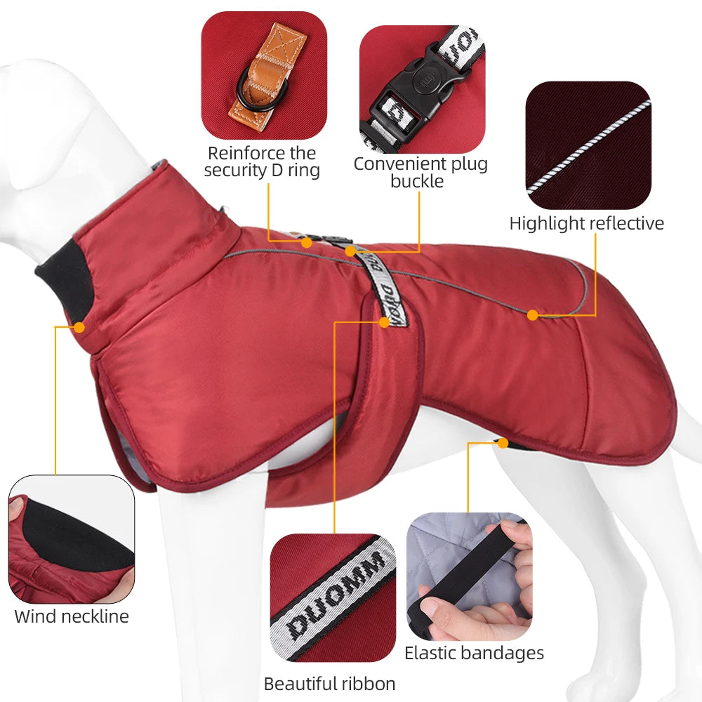 Windproof Jacket