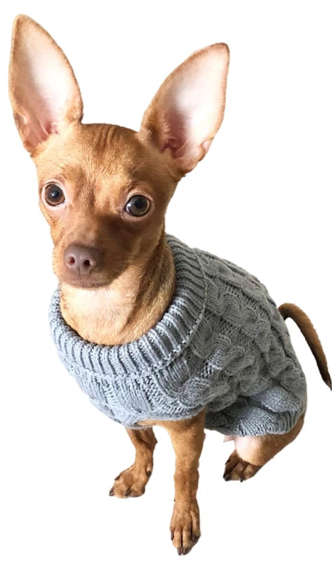 Sweaters & Hoodies