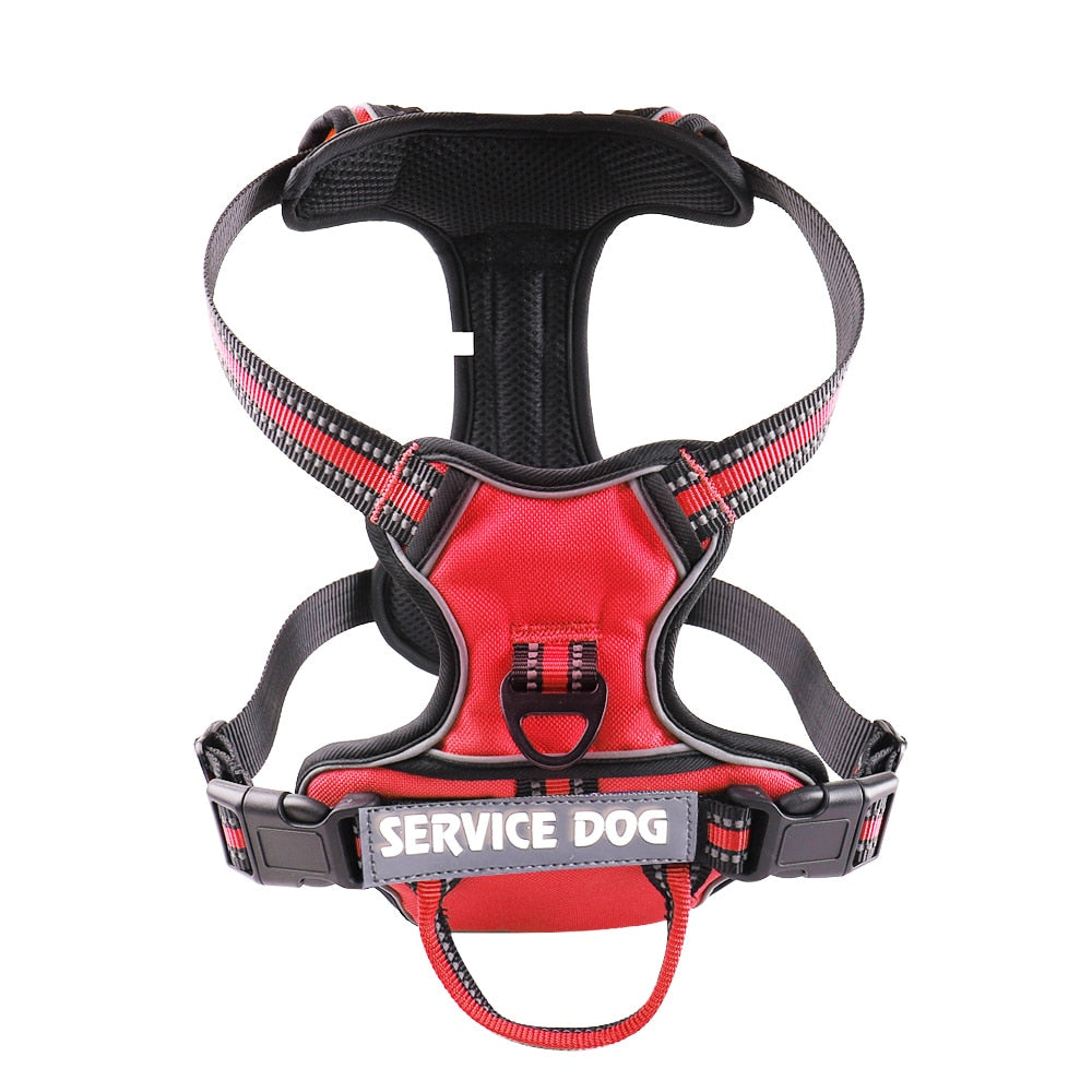 Adjustable Dog Harness very comfy - My Pets Today