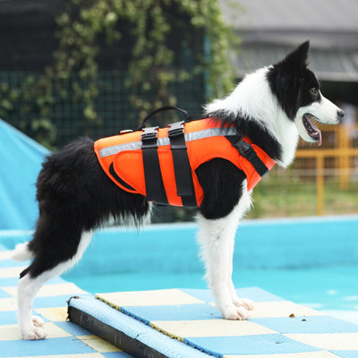 Life Vest Swimming - My Pets Today