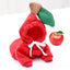 Fruit Hooded Sweatshirt - My Pets Today