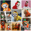 Cute Fruit Dog Coat Hoodie - My Pets Today