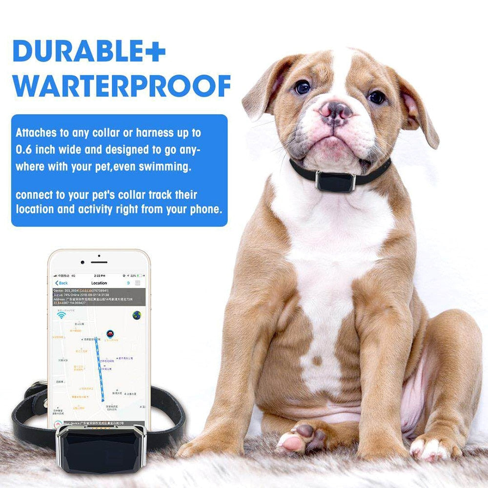 Smart Pet GPS Tracking - My Pets Today