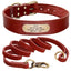 Custom Leather Dog Collar - My Pets Today