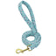 Puppy Printed Dog Leash - My Pets Today