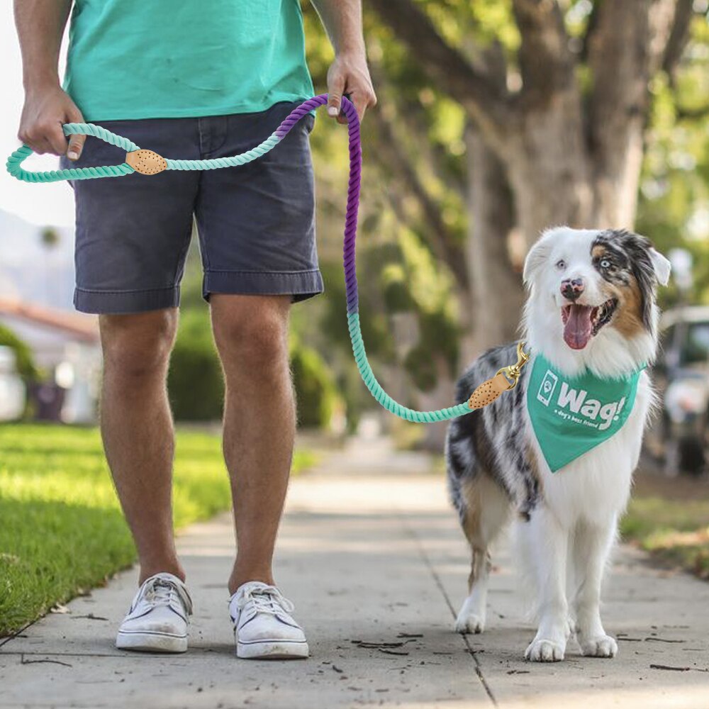 Long Heavy Lead Ropes - My Pets Today