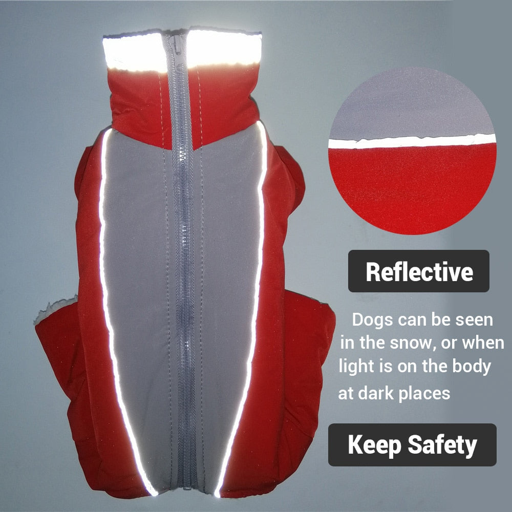 Reflective Jacket - My Pets Today