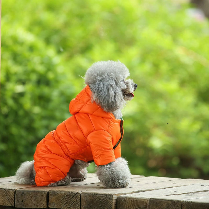 Pump Hoodie Coat - My Pets Today