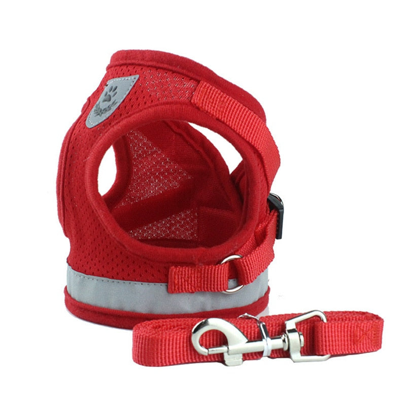 Katten Leash Set - My Pets Today