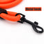 Leash rope nylon - My Pets Today