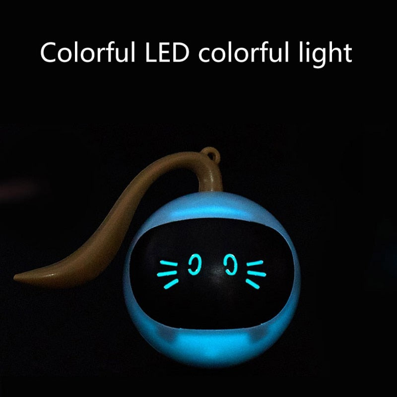 Smart Interactive Ball - Colorful LED - My Pets Today