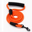 Leash rope nylon - My Pets Today