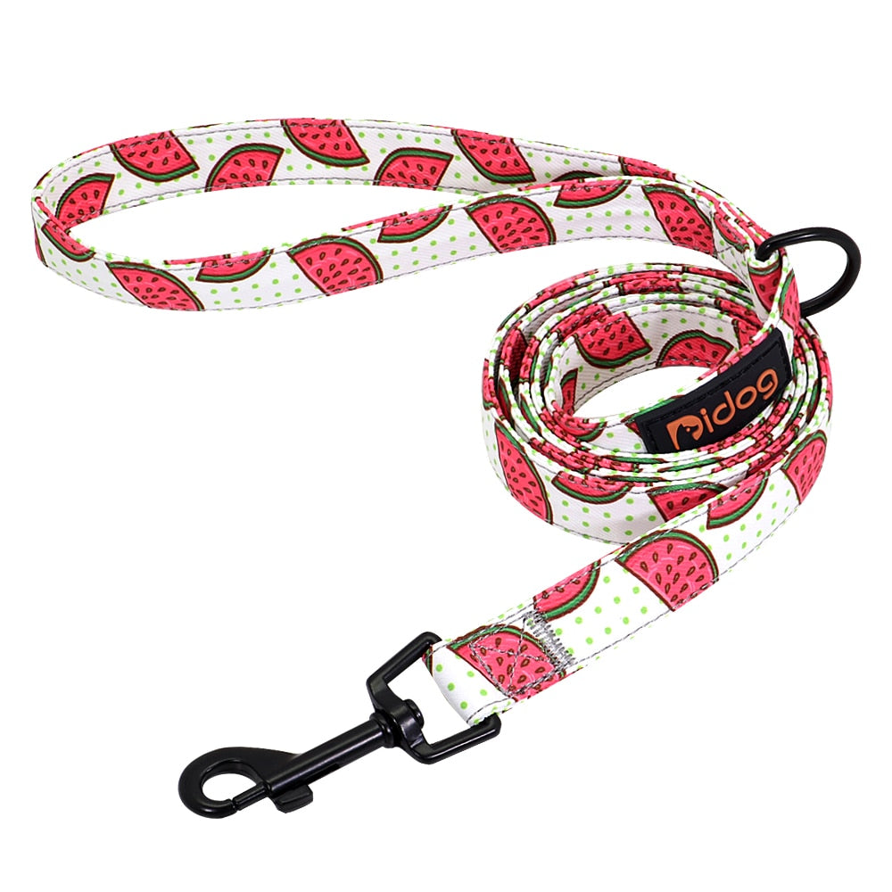 Puppy Printed Dog Leash - My Pets Today