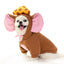 Cute Fruit Dog Coat Hoodie - My Pets Today