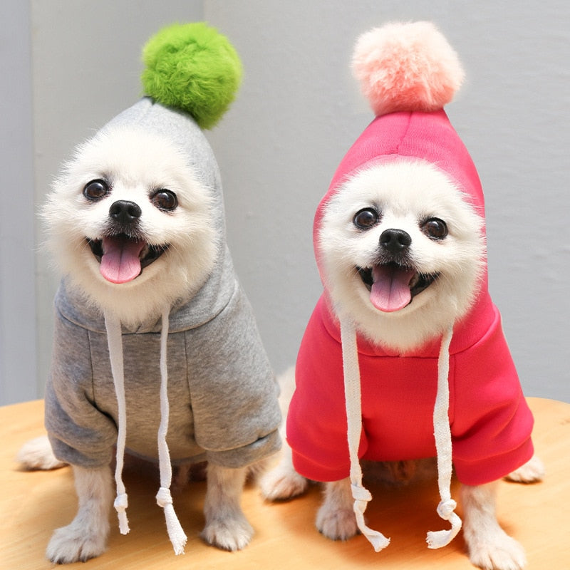 Cute Fruit Dog Coat Hoodie - My Pets Today