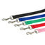 Nylon Dog Leashes - My Pets Today