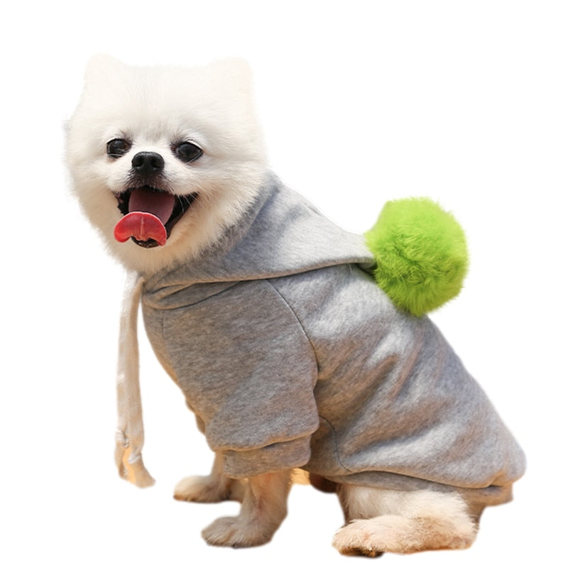 Cute Fruit Dog Coat Hoodie - My Pets Today