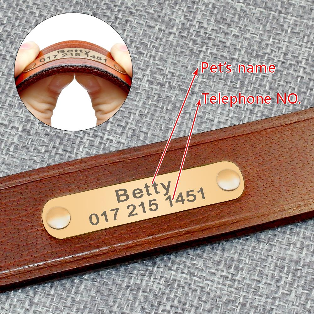 Personalized Pet ID Collar Genuine Leather - My Pets Today