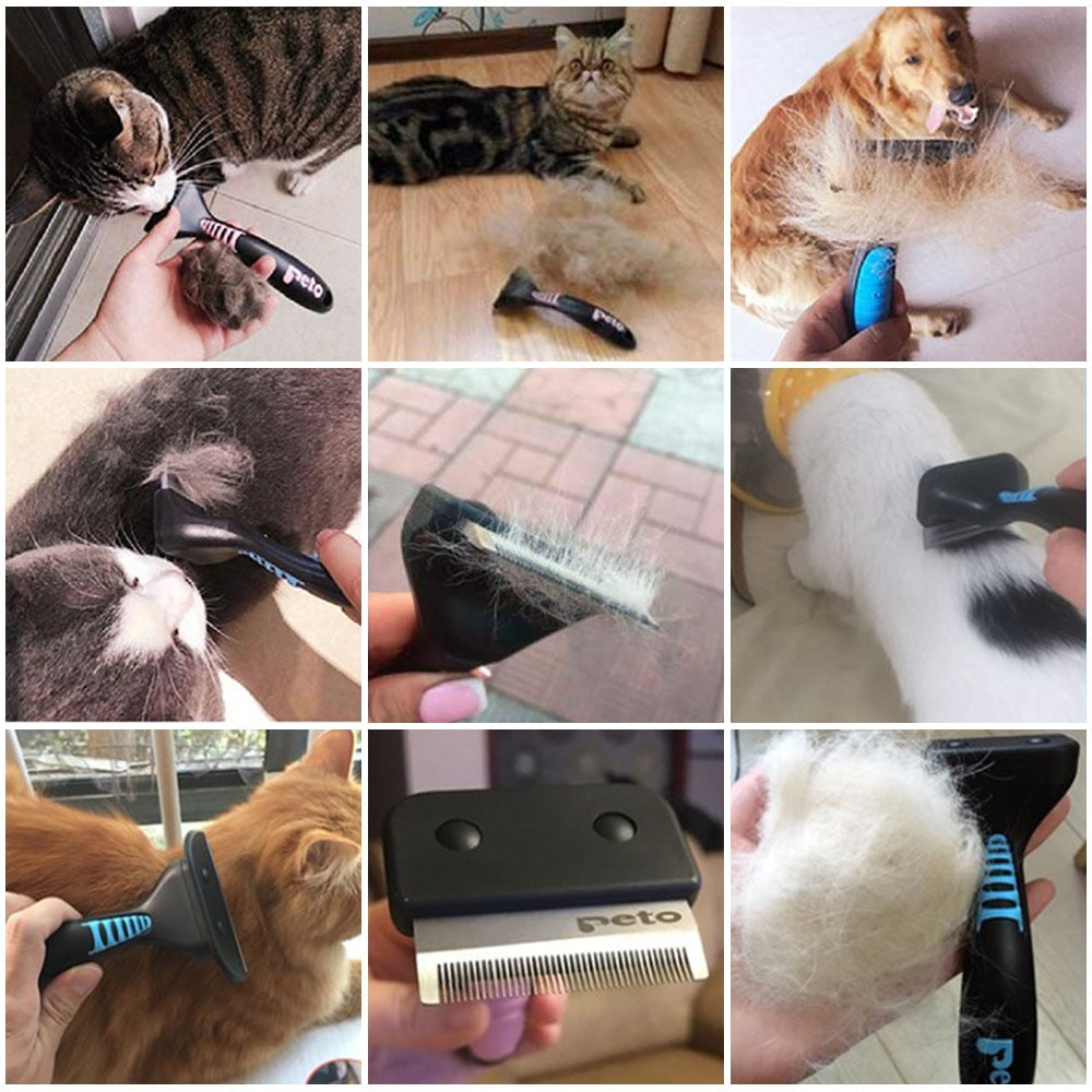 Removal Brush - My Pets Today