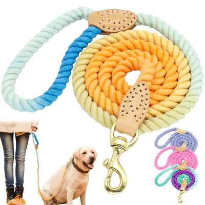 4 Colors Durable Nylon Dog Leash - My Pets Today