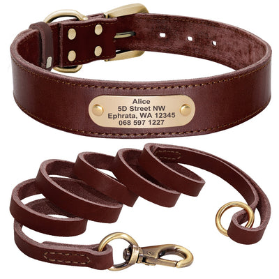 Custom Leather Dog Collar - My Pets Today