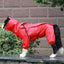 Raincoat Outdoor Waterproof Coat - My Pets Today