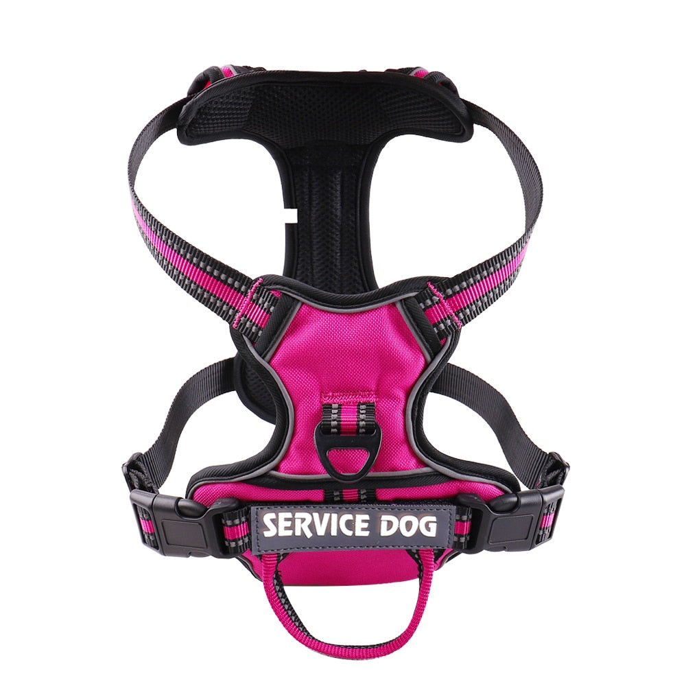 Adjustable Dog Harness very comfy - My Pets Today