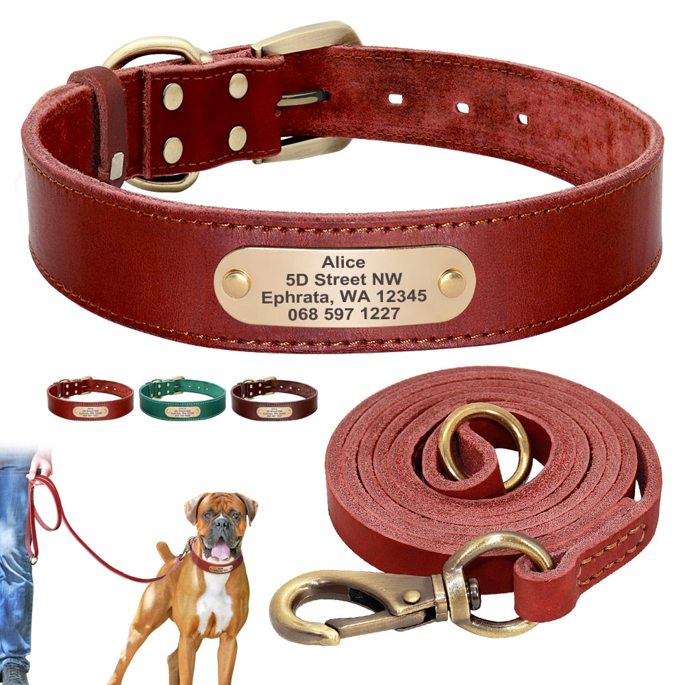 Custom Leather Dog Collar - My Pets Today