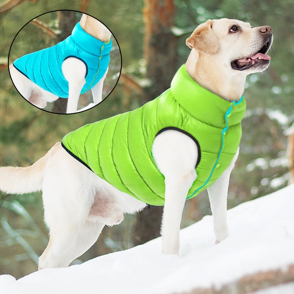 Reversible Warm Jacket - My Pets Today