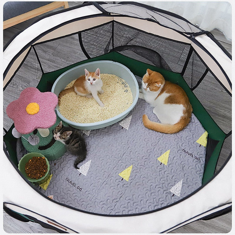 Enclosure Tent - My Pets Today